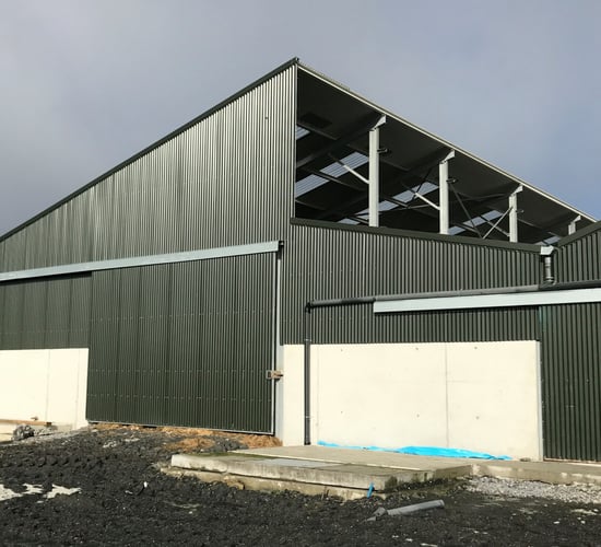 Buildings focus: A new beef shed dictated by an existing unit in Co. Tipperary