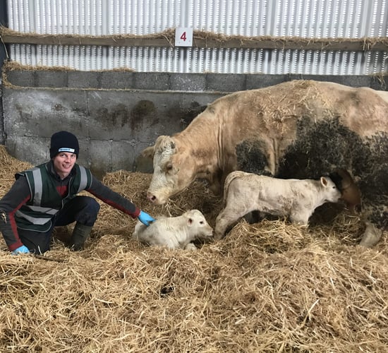 Heslin's agri ambition: 'My career will always come first'