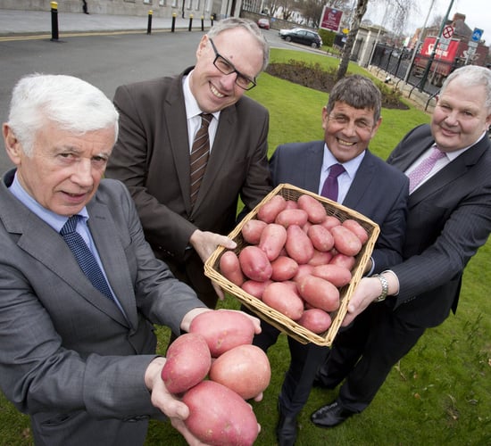 World potato congress in Ireland postponed to 2022
