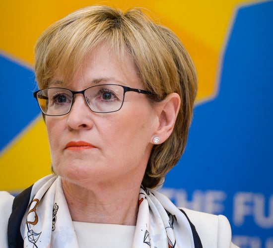 'Ireland cannot continue to expand forever' - McGuinness