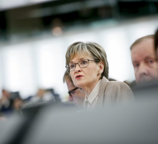 'Rules of origin exist and are as they are - Brexit is the problem'