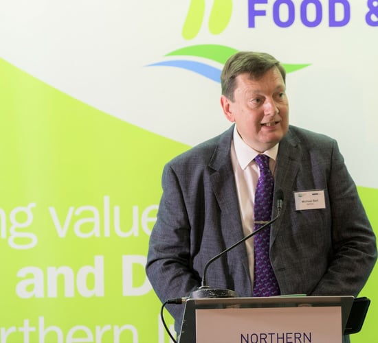 NIFDA: 'Scrapping' the NI Protocol 'would set us back'