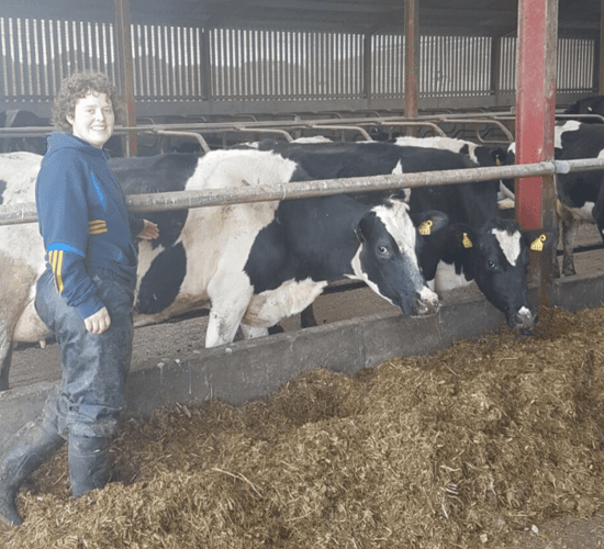 Attention to detail key to success on a Co. Tipperary dairy farm