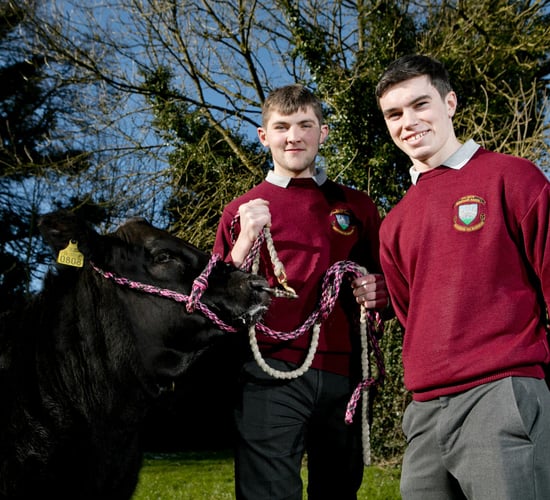 Applications open for Certified Irish Angus Beef Schools Competition 2019