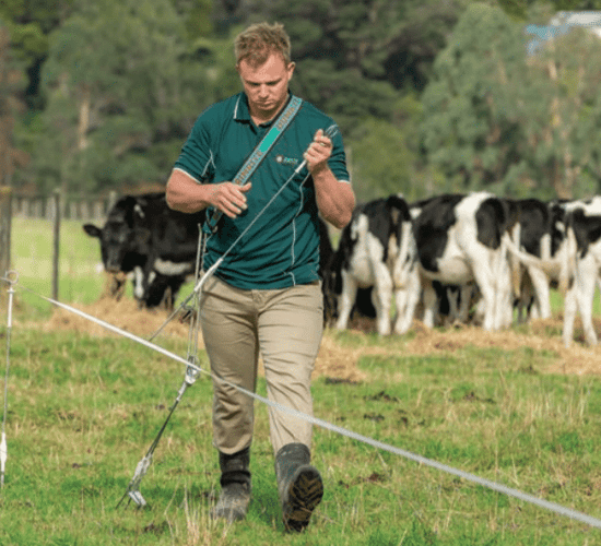 Kiwi fencing tools and equipment now available in Ireland