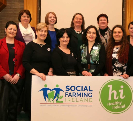 Family farm provides 'unique environment' to address wellbeing issues