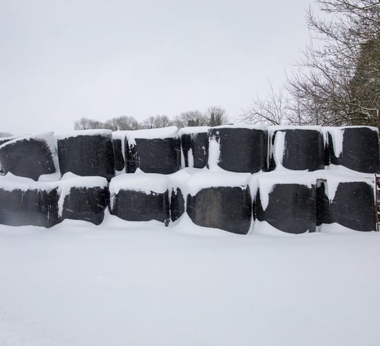 Silage prices: €20-35 quoted for 4X4 round bales