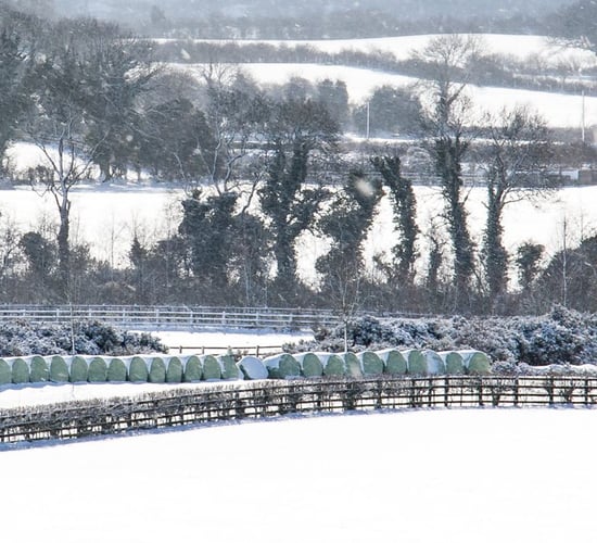 Impact of big freeze: 'Grass growth will be delayed by two weeks'