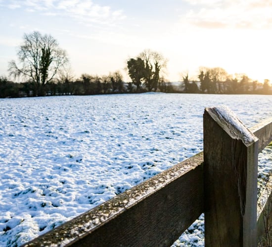 Pics: Farmers facing heavy snowfall around the country