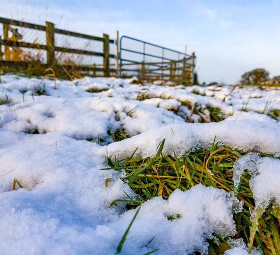 'Farmers should not be penalised if slurry tanks flood with snow'