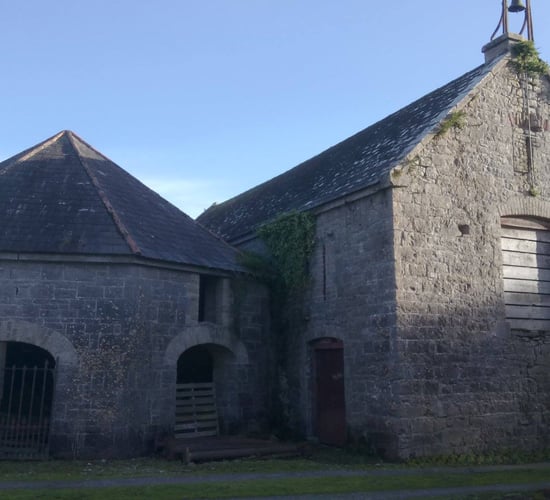 Hardwood, hops and history: Farm behind Ballykilcavan Brewery hosts tour