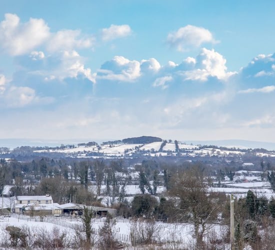 Insurance industry 'must be pro-active' on post-storm farm issues