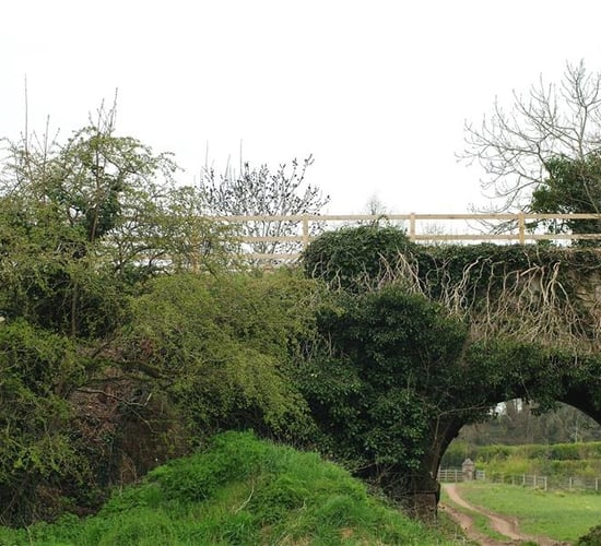 Greenways development approach 'needs review' - IFA