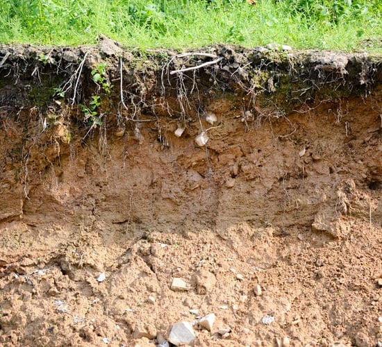 Soil temperatures remain below 6°C