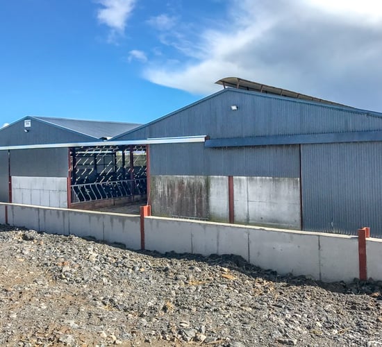 Buildings focus: A simple beef unit makes life easier in Co. Tipperary