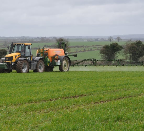 Tillage management: Early control of disease on wheat