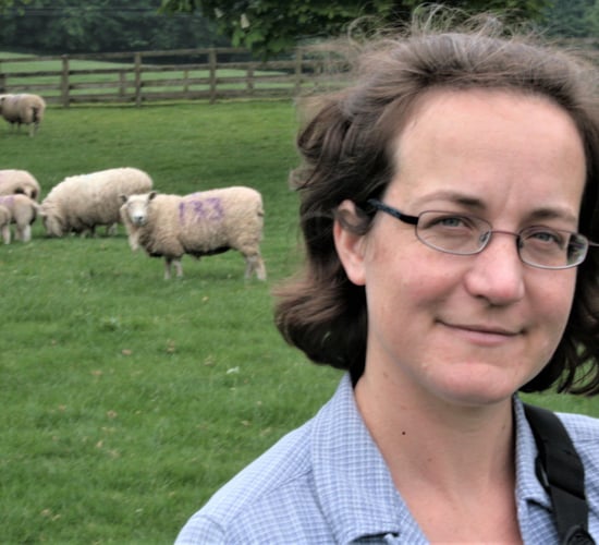 Grass event to help sheep farmers 'play catch up' on a late season