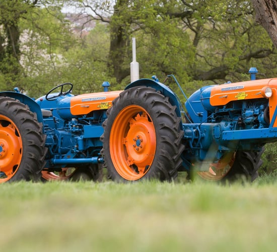 1961 Triple-D expected to make €70,000 under the hammer