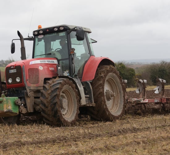 IGGG poll: 13% of tillage farmers have no spring crops sown