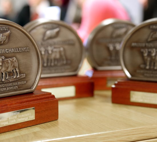 School finalists announced for first Northern Angus Challenge