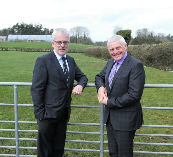 New chairman and vice-chairs appointed to the AgriSearch board