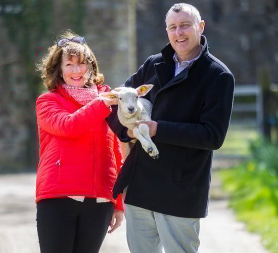 Open day hosts foster links between urban and rural dwellers