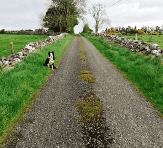 Law enacted to remove problems affecting rights of way