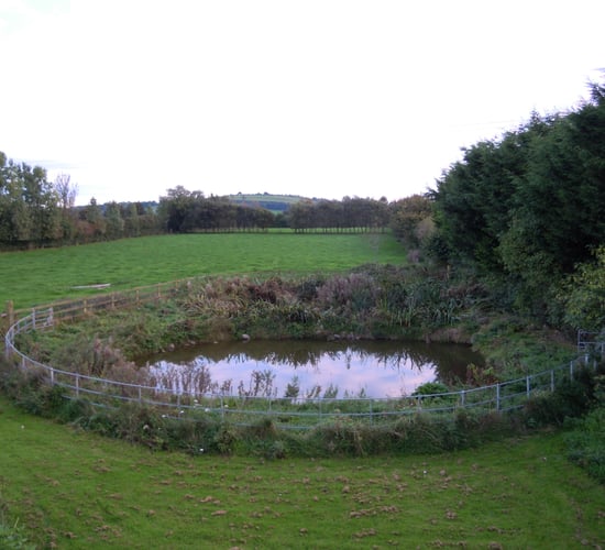 €1m initiative launched to help communities develop green spaces