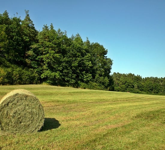 Safety tips for hay bales following 'number of hayshed fires'