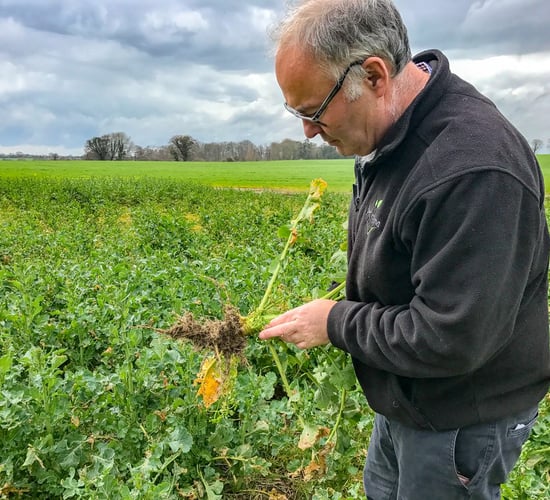 Tillage focus: How a monthly 'oil' cheque has changed this tillage farm