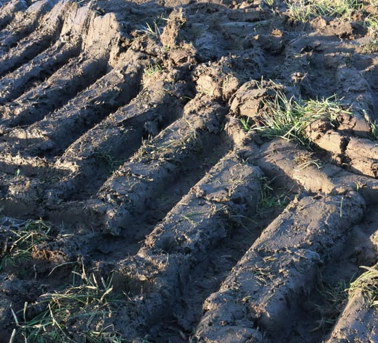 Conacre 'not to blame' for all of NI's land fertility issues