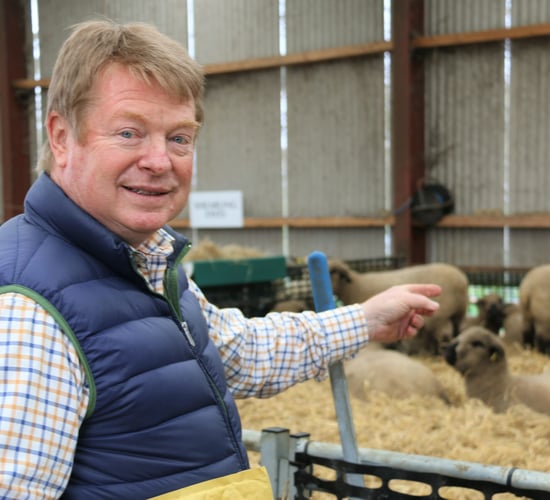 Fashion by day; farming by night: Part-time doesn't mean unprofitable