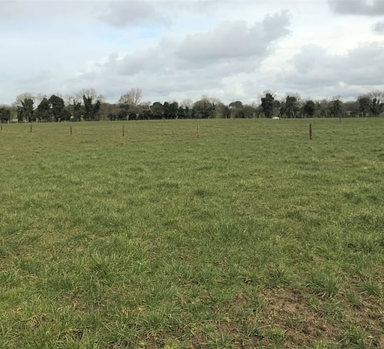 '20% more grass can be produced by correct management'