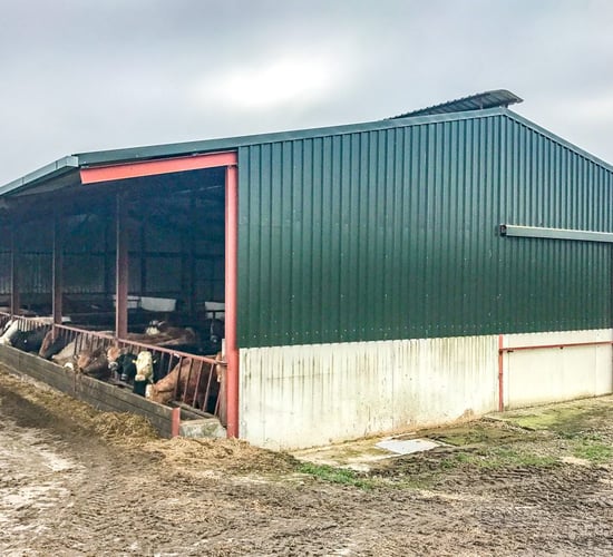 Buildings focus: A self-erected beef unit constructed without TAMS in Co. Kilkenny