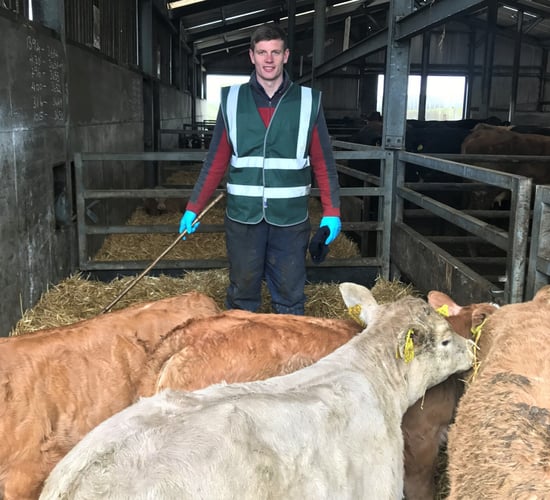Beef focus: Maximising profits by driving efficiency in Co. Meath
