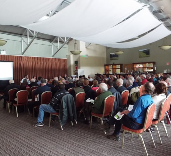 'Uncertainty' around ash dieback concerning forest owners