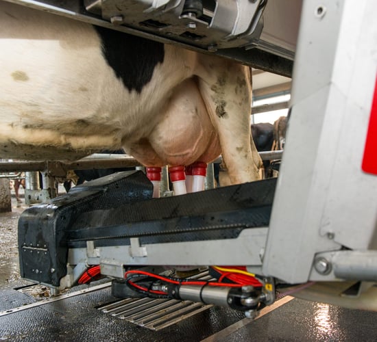 Milking marvel? Lely reveals new, 'revolutionary' robot for 2018