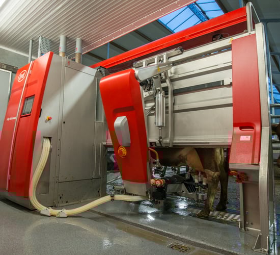 Lely to host 3 robotic milking open days this week