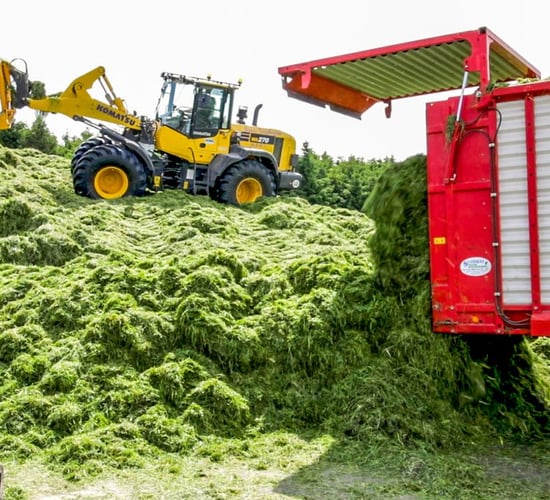 Trade focus: How a Westmeath man can get an 'edge' on your machinery