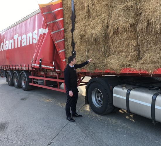 Fodder import scheme welcomed by farmers' group
