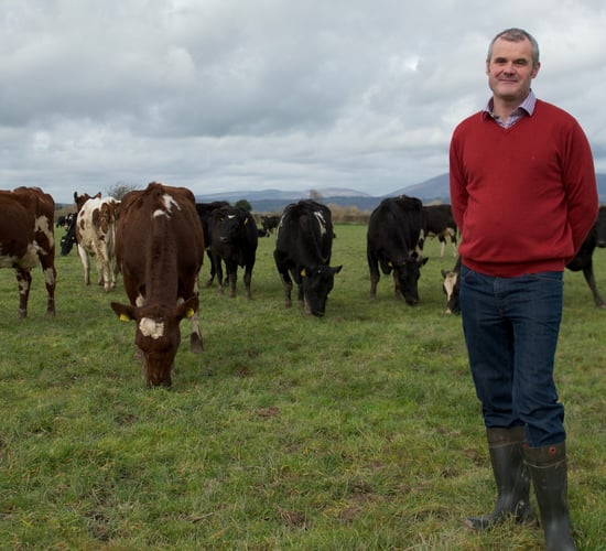 Good rumen function is essential for the breeding season