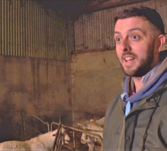 Rare Breed farmer joins Open Farm Weekend line-up