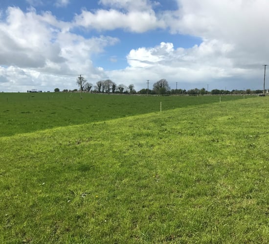 What size should my paddocks be and how many do I need?