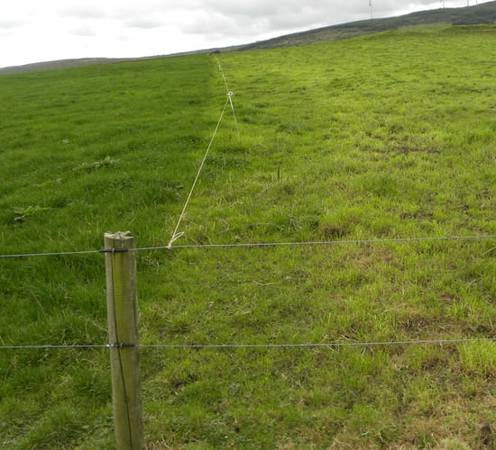 Concerns that creosote ban could impact TAMS fencing grants