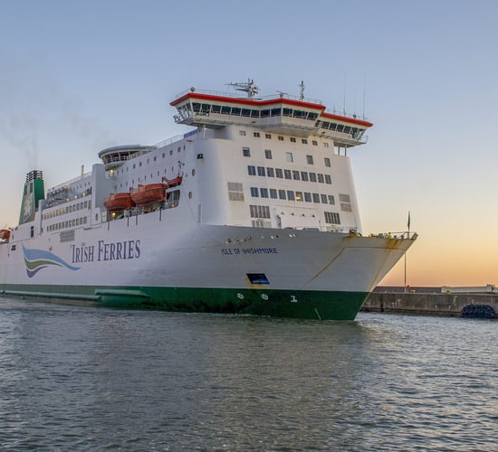 Dublin and Rosslare ports 'prime focus' for extra Brexit staffing