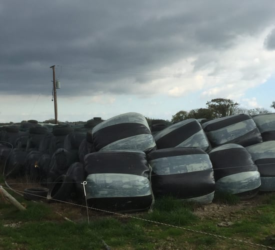 Warning issued over farmers' eagerness to replenish silage supplies