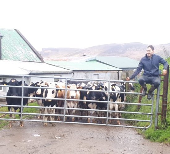 Kerry farm family poised to set 5 Guinness World Records