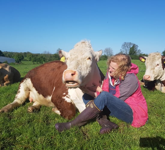 Cavan farm takes 'crafty approach' to diversification