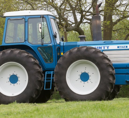 Ahead by a nose: How much is this oddity worth?