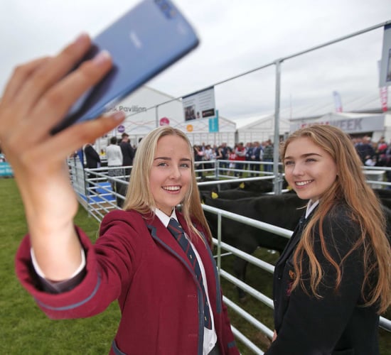 Angus challenge begins as kids meet calves at Balmoral
